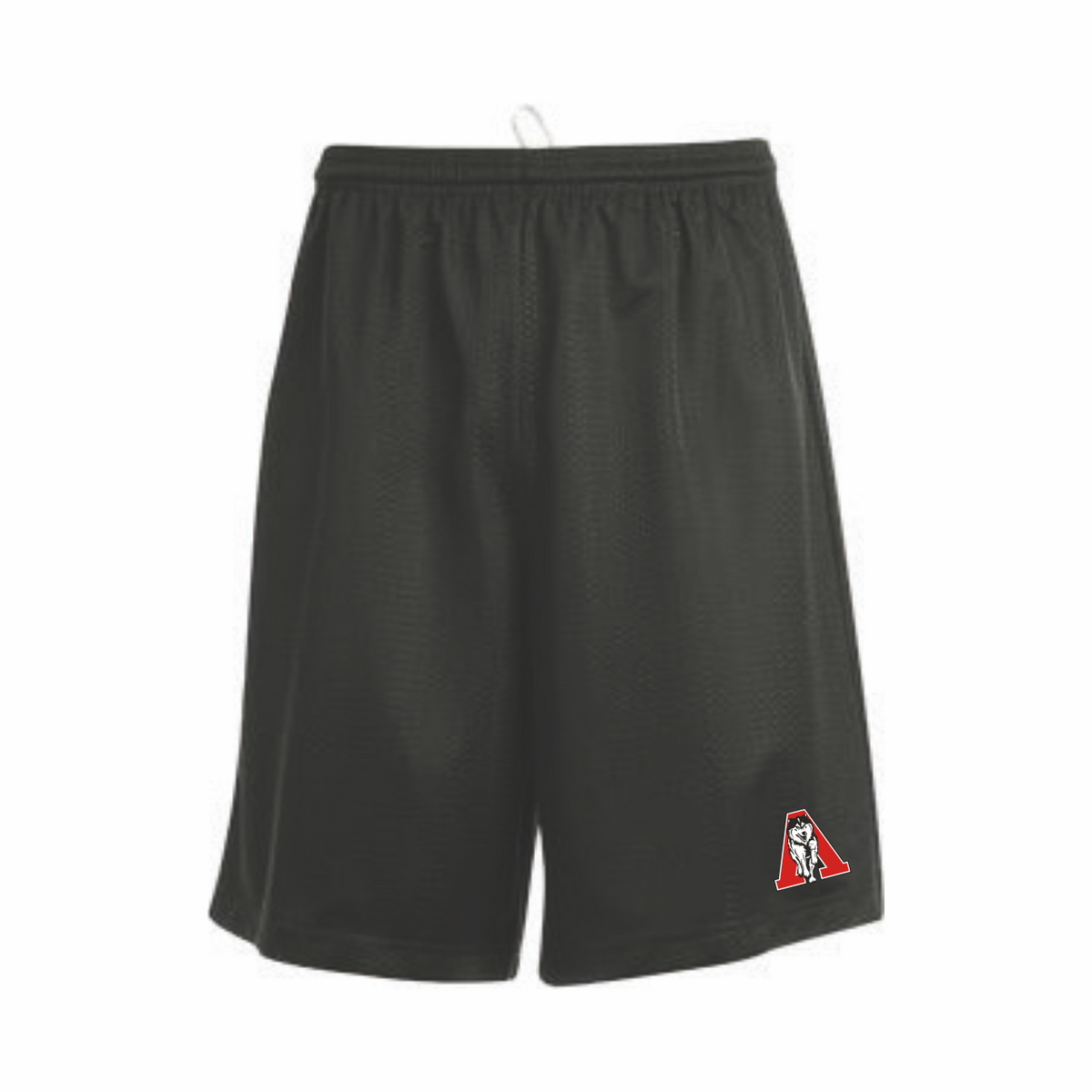 Abby Mesh Shorts with Pockets